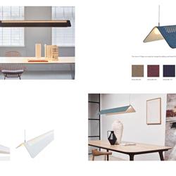 灯饰设计 Hollands Licht 2021年荷兰创意简约灯具设计电子书