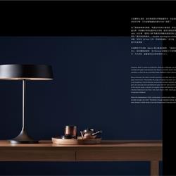 灯饰设计 SEEDDESIGN 2022年现代简约时尚灯具设计电子书籍