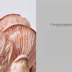 灯饰设计 CreativeMary 2022年葡萄牙现代前卫灯饰设计图片