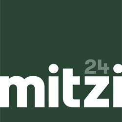 灯具设计 Mitzi 2024年欧美时尚前卫灯饰灯具电子目录