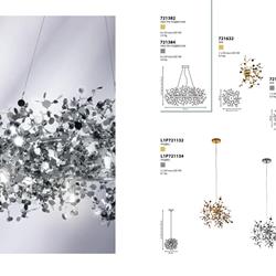 灯饰设计 Lightstar 2024年欧式现代时尚灯饰图片电子书
