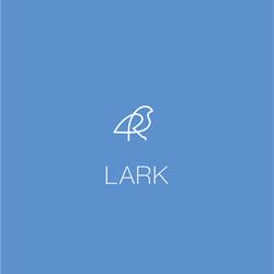 灯饰设计 Lark 美国现代灯饰灯具产品图片电子书
