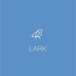 灯饰设计 Lark 美国现代灯饰灯具产品图片电子书二