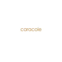 家具设计 Caracole 2025年欧美现代家具设计图片电子目录