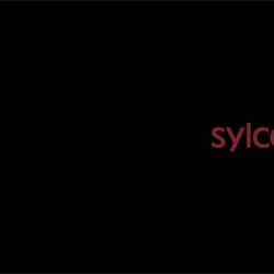 灯具设计 Sylcom 2025年意大利品牌灯具设计电子目录