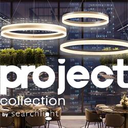 Searchlight 2025年工程项目现代LED灯具设计电子书