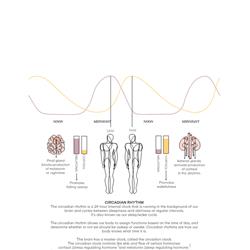 灯饰设计 DeltaLight 2025年欧美办公照明灯具产品图片电子书