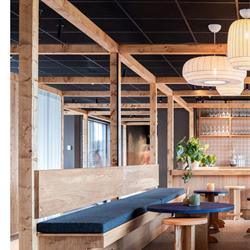 灯饰设计 Northern 2025年挪威家居家具灯饰室内设计电子书