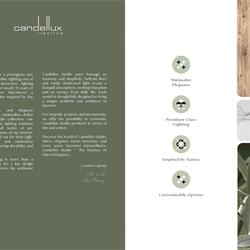 灯饰设计 Candellux 2025年最新波兰灯具产品图片电子目录