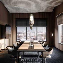 Molto Coustic 2025年欧美声学灯具设计产品电子目录