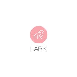 灯具设计 Lark 2025年新款美国现代灯饰灯具产品图片电子书