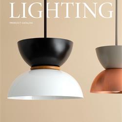 Barn Light 2025年美国现代复古铁艺灯设计图片电子目录