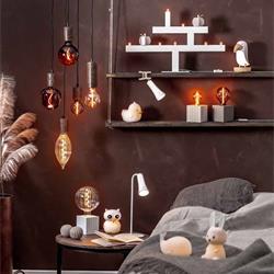 Star Trading 2025年欧美灯泡灯源图片电子目录