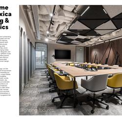 灯饰设计 Flexxica 2026年波兰现代声学照明灯具图片电子书