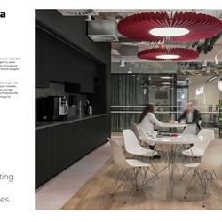 灯饰设计 Flexxica 2026年波兰现代声学照明灯具图片电子书