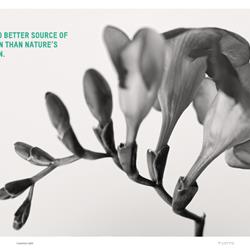 灯饰设计 TUNTO 2025年芬兰木艺LED灯具设计电子图册