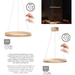 灯饰设计 Fischer & Honsel 2026年德国家居装饰照明电子图册