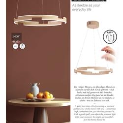 灯饰设计 Fischer & Honsel 2026年德国家居装饰照明电子图册