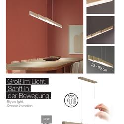 灯饰设计 Fischer & Honsel 2026年德国家居装饰照明电子图册