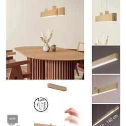 灯饰设计 Fischer & Honsel 2026年德国家居装饰照明电子图册