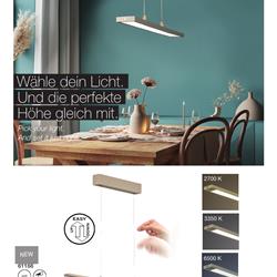 灯饰设计 Fischer & Honsel 2026年德国家居装饰照明电子图册