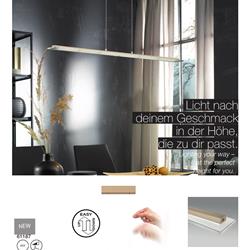 灯饰设计 Fischer & Honsel 2026年德国家居装饰照明电子图册