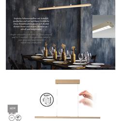 灯饰设计 Fischer & Honsel 2026年德国家居装饰照明电子图册