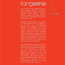 灯饰设计 Koncept 2025年美国现代LED灯具照明设计电子图册