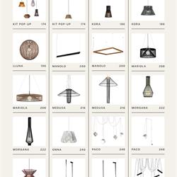 灯饰设计 Ole 2026年欧美室内现代简约风格灯饰灯具设计目录