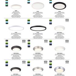 灯饰设计 Westinghouse 2025年新品美国灯饰产品图片电子书