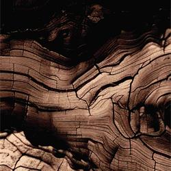 灯饰设计:LZF 2025-2026年西班牙创意手工木艺灯饰设计电子书