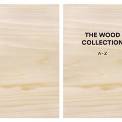 灯饰设计 LZF 2025-2026年西班牙创意手工木艺灯饰设计电子书