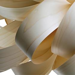 灯饰设计 LZF 2025-2026年西班牙创意手工木艺灯饰设计电子书