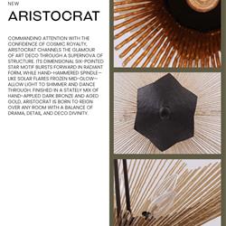 灯饰设计 Varaluz 2026年美国最新前卫时尚灯具设计电子书