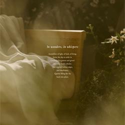 家具设计 Arhaus 2025年夏美式豪华家具设计图片电子图册