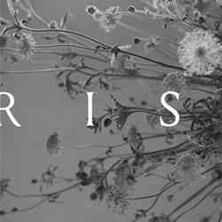 家具设计 Arhaus 2025年夏美式豪华家具设计图片电子图册