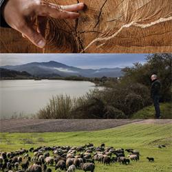 家具设计 Arhaus 2025年秋美式豪华家具设计图片电子图册