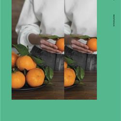 灯饰设计 Ideal Lux 2026年精选意大利现代灯饰灯具设计电子书