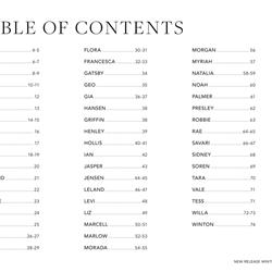 灯饰设计 Capital 2026年美国新品灯饰产品图片电子图册