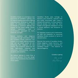 灯饰设计 Candellux 2026年新品波兰现代时尚灯具产品图片