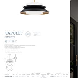 灯饰设计 DWELED 2026年美国现代LED灯饰设计图片电子图册