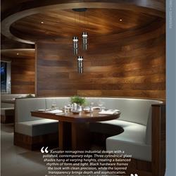 灯饰设计 DWELED 2026年美国现代LED灯饰设计图片电子图册