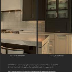 灯饰设计 WAC 2026年美国家居照明LED灯具产品图片电子目录