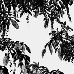 灯饰设计 Flos 2026年意大利户外照明灯具图片电子目录