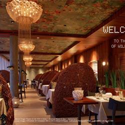 灯饰设计 Willowlamp 2026年欧美个性创意金属链条灯饰设计图片电子书