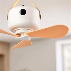 风扇灯设计:Trio 2026年德国风扇灯吊扇灯设计产品图片电子目录