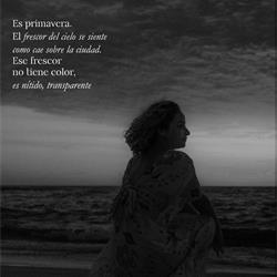 灯饰设计 Jueric 2026年西班牙风扇灯吊扇灯产品图片电子书