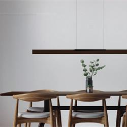 灯饰设计 BOPP 2026年德国现代LED灯具图片电子目录