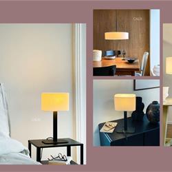 灯饰设计 Dyberg Larsen 2026年丹麦北欧风格灯饰设计电子目录