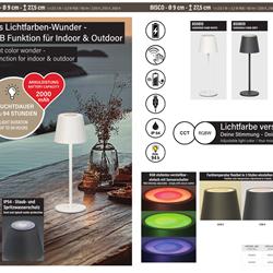 灯饰设计 Fischer & Honsel 2026年德国便携式灯具产品图片电子书
